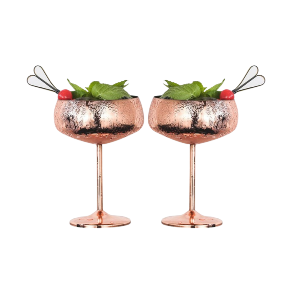 Stainless Steel Martini Glasses - The Stainless Sipper