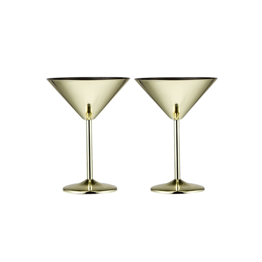 Martini Glass, Insulated Stainless Steel Margarita Glass with Lid, Set of 2